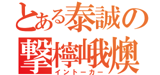 とある泰誠の撃檸峨燠（イントーカー）