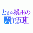 とある溪州の六年五班（天才班級！！）