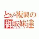 とある複製の御坂妹達（シスターズ）