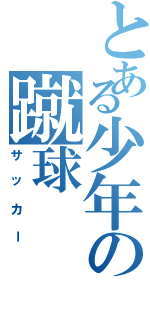 とある少年の蹴球（サッカー）