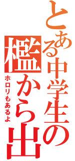 とある中学生の檻から出るまでⅡ（ホロリもあるよ）