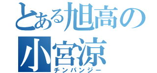 とある旭高の小宮涼（チンパンジー）