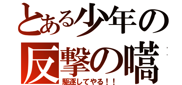 とある少年の反撃の嚆（駆逐してやる！！）