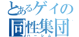 とあるゲイの同性集団（ハーレム）