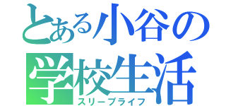 とある小谷の学校生活（スリープライフ）