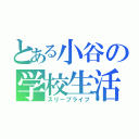 とある小谷の学校生活（スリープライフ）