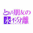 とある朋友の永不分離（インデックス）