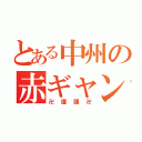 とある中州の赤ギャン（卍 護 國 卍）