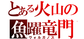 とある火山の魚躍竜門（ヴォルガノス）