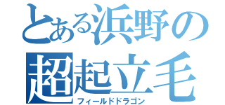 とある浜野の超起立毛（フィールドドラゴン）