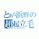 とある浜野の超起立毛（フィールドドラゴン）