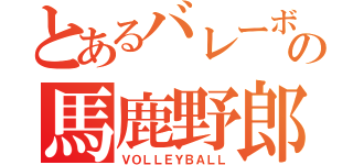 とあるバレーボールの馬鹿野郎（ＶＯＬＬＥＹＢＡＬＬ）