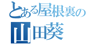 とある屋根裏の山田葵（）