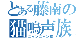 とある藤南の猫鳴声族（ニャンニャン族）