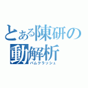 とある陳研の動解析（パムクラッシュ）