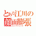 とある江川の顔面膨張（ビッグフェイス）