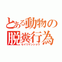 とある動物の脱糞行為（セイリゲンショウ）