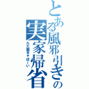 とある風邪引きの実家帰省（ただ飯きゃほーい）