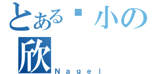 とある吴小の欣（Ｎａｇｅｌ）