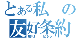 とある私の友好条約（敬礼！　　ビシッ）