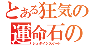 とある狂気の運命石の扉（シュタインズゲート）