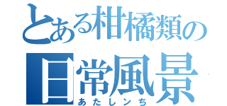 とある柑橘類の日常風景（あたしンち）