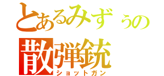 とあるみずぅの散弾銃（ショットガン）