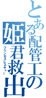 とある配管工の姫君救出（プリンセスレスキュー）