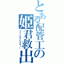 とある配管工の姫君救出（プリンセスレスキュー）