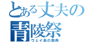 とある丈夫の青陵祭（ウェイ系の祭典）