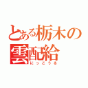 とある栃木の雲配給（にっこうる）