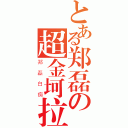 とある郑磊の超金坷拉（郑磊白痴）