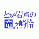 とある岩鳶の竜ヶ崎怜（理論バカ）