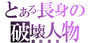 とある長身の破壊人物（藤田美貴）