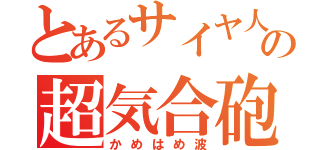 とあるサイヤ人の超気合砲（かめはめ波）