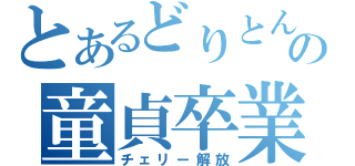 とあるどりとんの童貞卒業（チェリー解放）