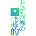 とある我操の你老母的（インデックス）