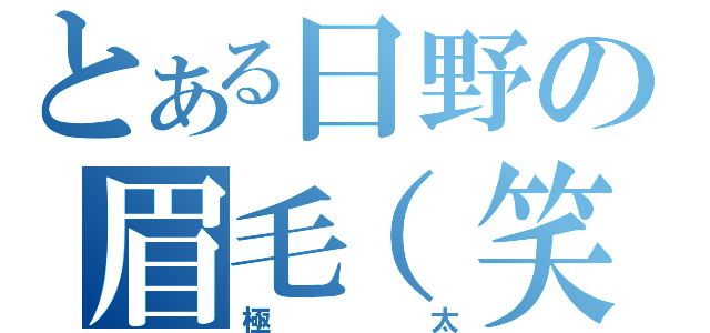 とある日野の眉毛（笑）（極太）