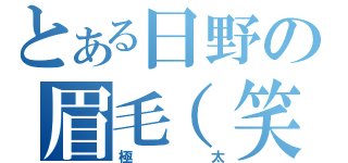 とある日野の眉毛（笑）（極太）