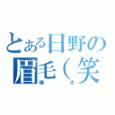 とある日野の眉毛（笑）（極太）