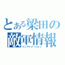 とある梁田の敵軍情報（インフォメーション）