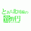 とある北川線の鴬野円（Ｅ２３１系０番台）