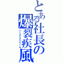 とある社長の爆裂疾風弾（バーストストリーム）