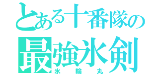 とある十番隊の最強氷剣（氷輪丸）