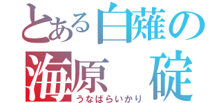 とある白薙の海原 碇（うなばらいかり）