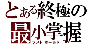 とある終極の最小掌握（ラストホールド）