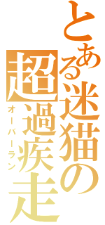 とある迷猫の超過疾走（オーバーラン）