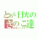 とある日光のきのこ達（素晴らしき私）