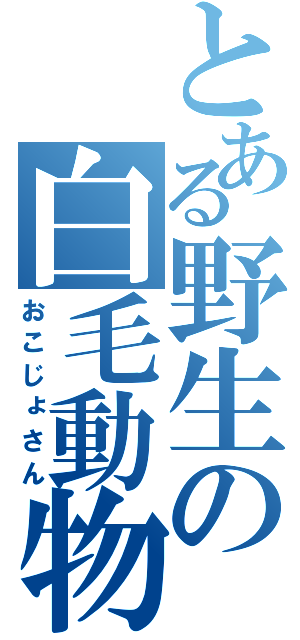 とある野生の白毛動物（おこじょさん）
