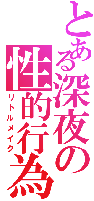 とある深夜の性的行為（リトルメイク）